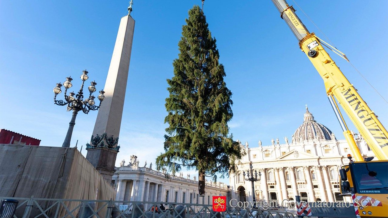 Il 15 dicembre l’inaugurazione del presepe e dell’albero in Piazza San Pietro