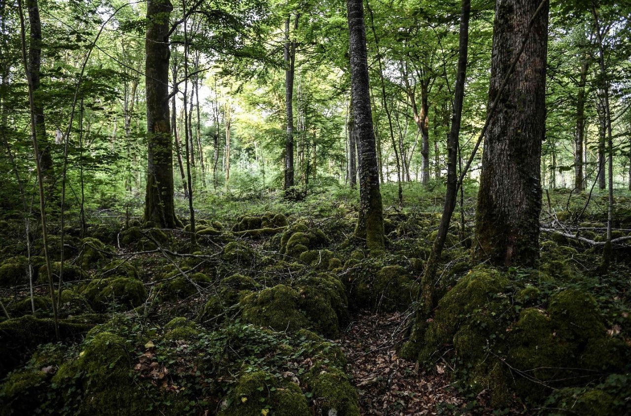 Biodiversità, agricoltura e tutela del Creato: un connubio necessario