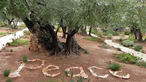 "Scientists for peace", l