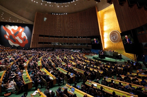 Madonna della Misericordia, da 500 la stella polare di Petriolo