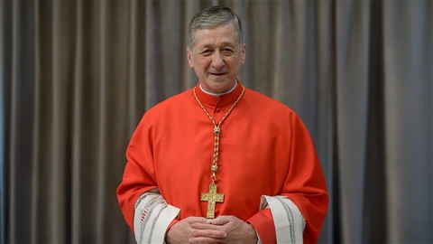Cupich: la pace non è assenza di guerra, ma opera della giustizia