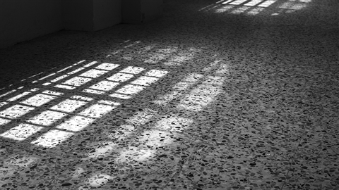 Giornata salute mentale, Pagano (Simspe): distinguere tra disagio e patologia