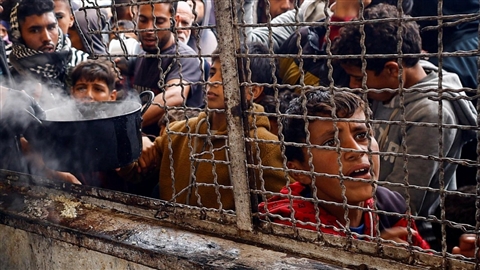Il Papa alla Fao: mai usare il pane come arma di guerra